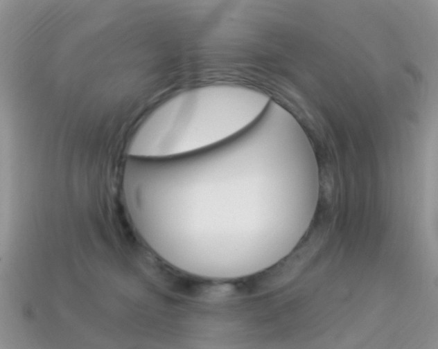 X0000114240374200910091353