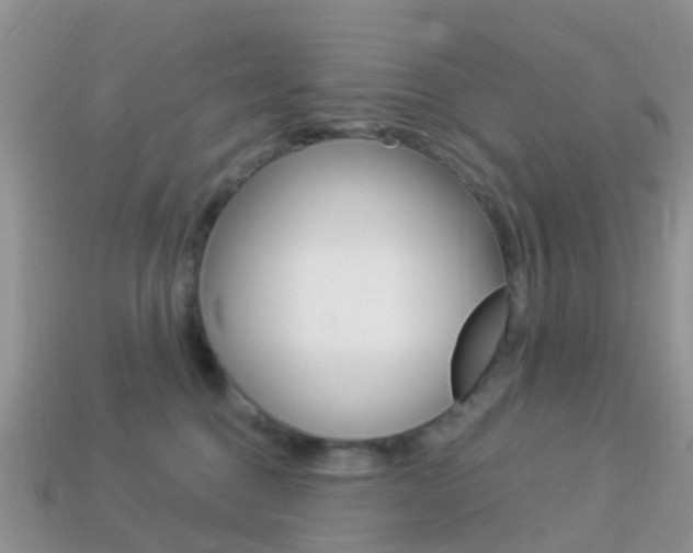 X0000114240376200910091353