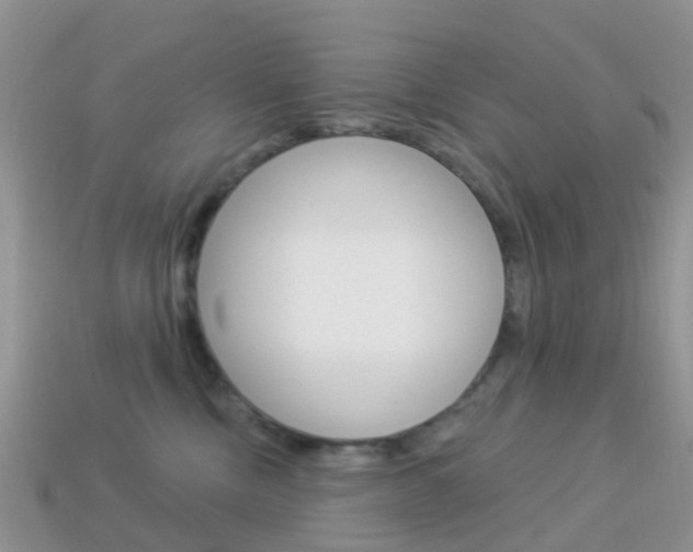 X0000114240378200910091354