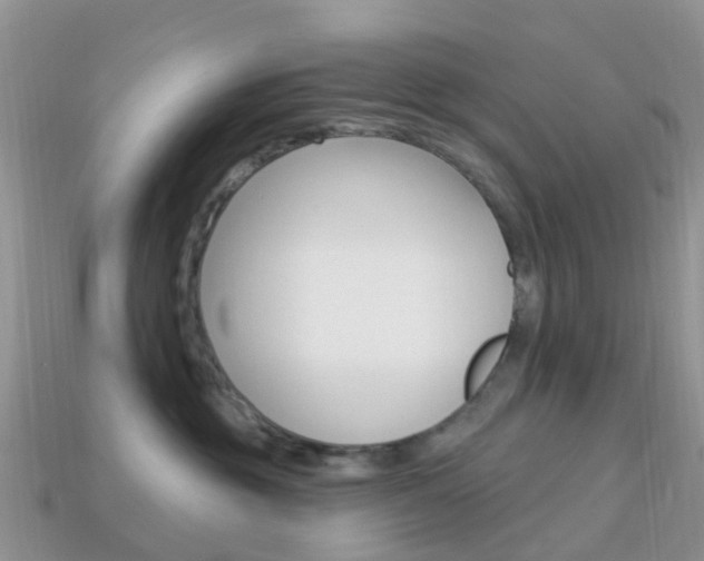 X0000114240381200910091354