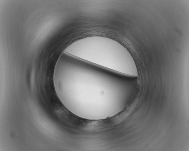 X0000114240382200910091354