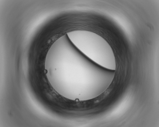 X0000114240383200910091354