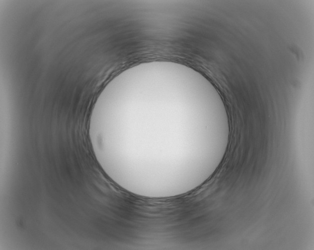 X0000114240384200910091354