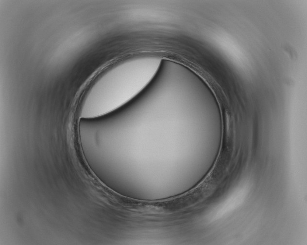 X0000114240387200910091353