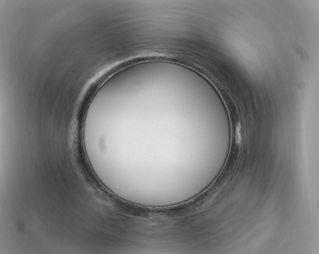 X0000114240388200910091353