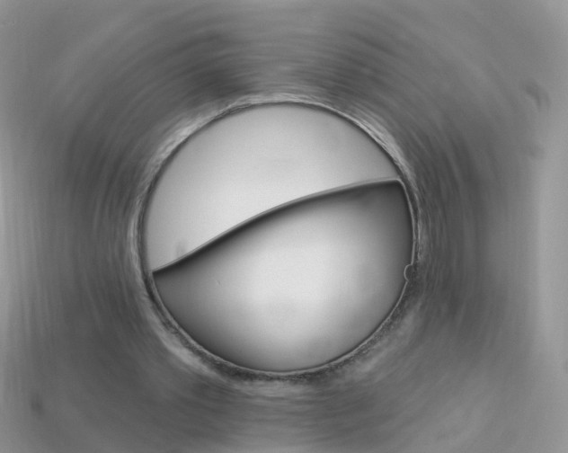 X0000114240389200910091353