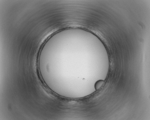 X0000114240390200910091353