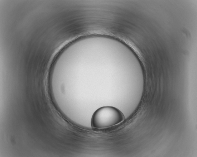 X0000114240391200910091353