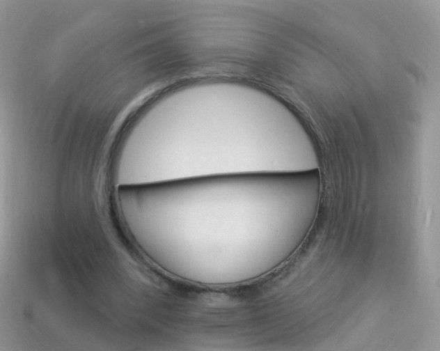 X0000114240392200910091353
