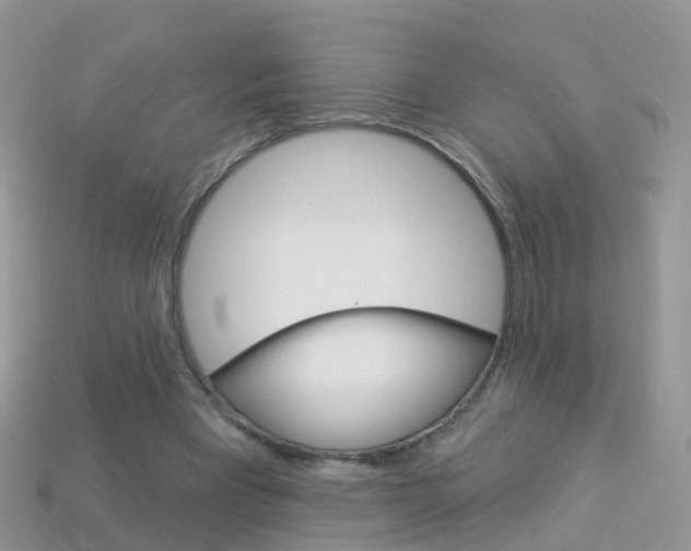 X0000114240393200910091353