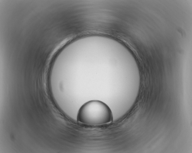 X0000114240395200910091353