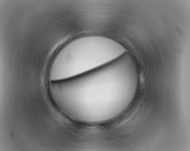 X0000114240396200910091353