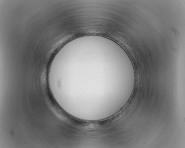 X0000114240398200910091353