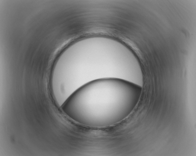 X0000114240399200910091353