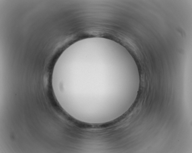 X0000114240404200910091353