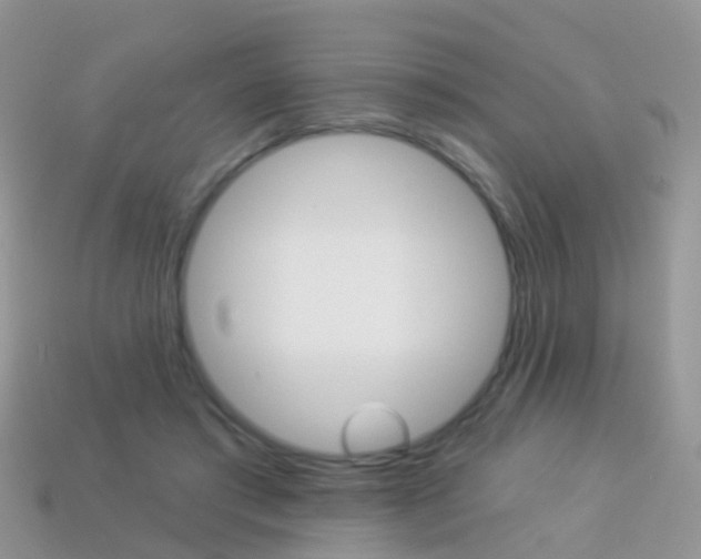 X0000114240405200910091353