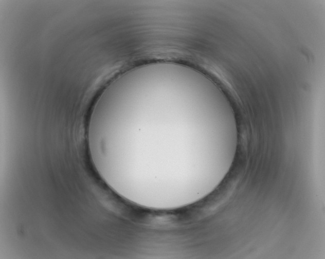 X0000114240407200910091353