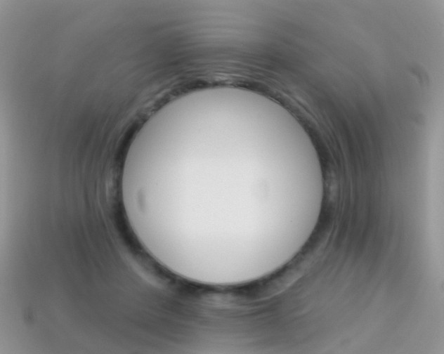 X0000114240408200910091353