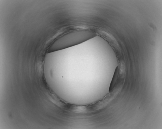 X0000114240409200910091353