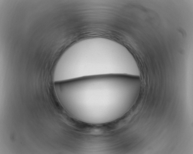 X0000114240412200910091353
