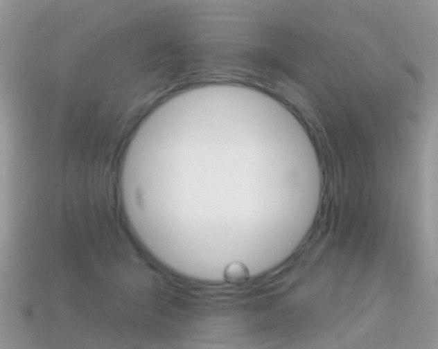 X0000114240415200910091353
