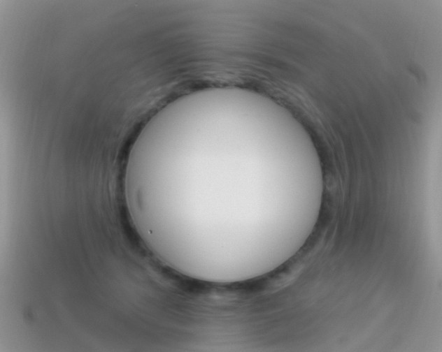 X0000114240416200910091353