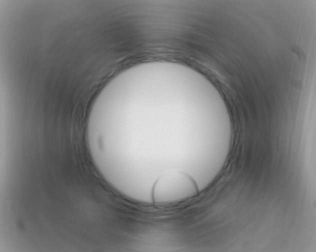 X0000114240417200910091353