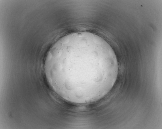 X0000114240418200910091353