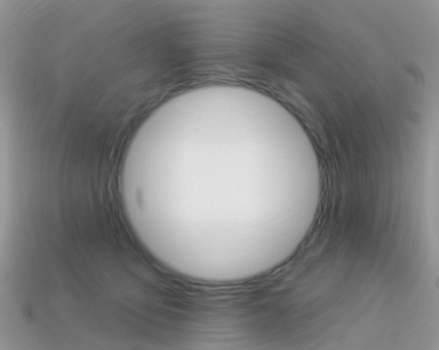 X0000114240419200910091353