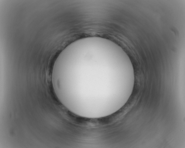 X0000114240420200910091353