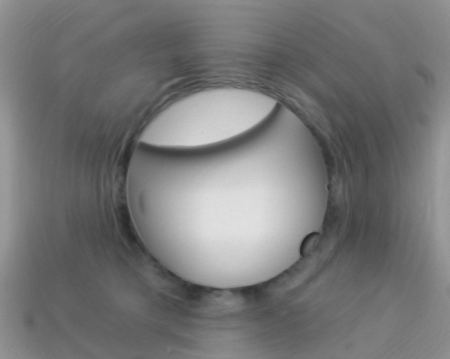 X0000114240421200910091353