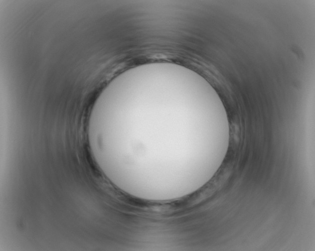 X0000114240422200910091352