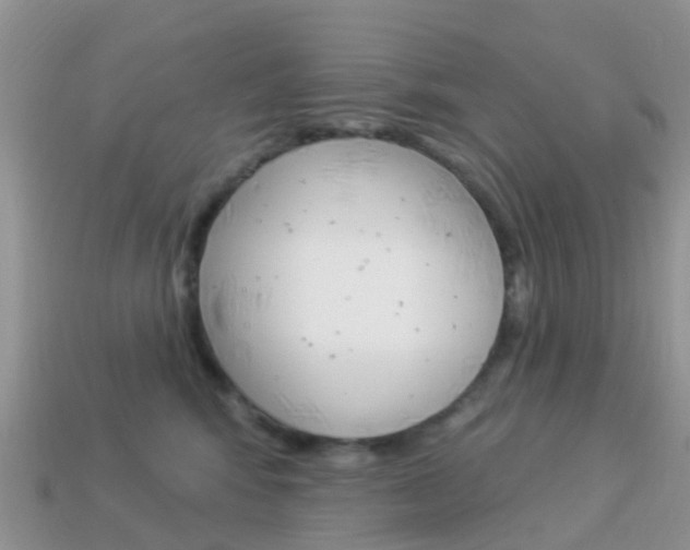 X0000114240424200910091352