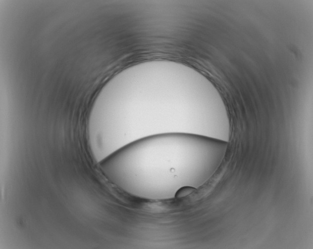 X0000114240425200910091352