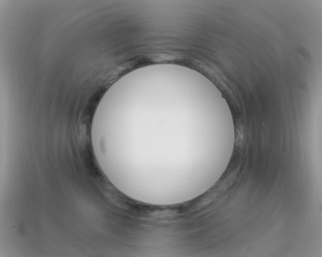 X0000114240426200910091352