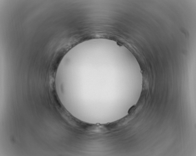 X0000114240427200910091352