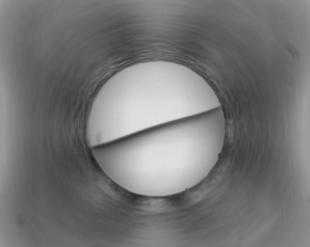 X0000114240428200910091352