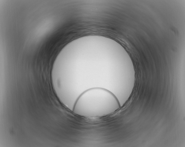 X0000114240429200910091352