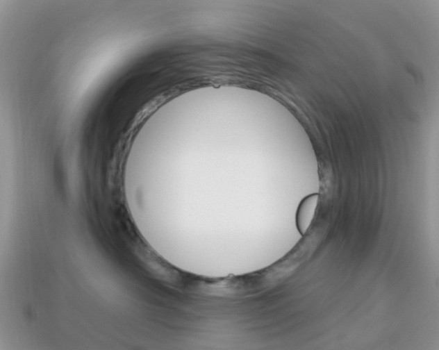 X0000114240430200910091352