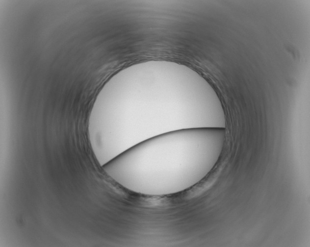 X0000114240432200910091352