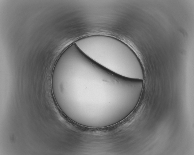 X0000114240433200910091352