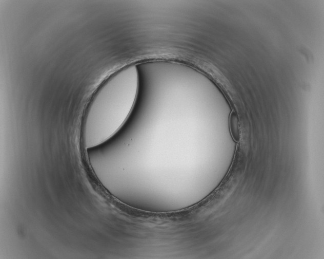 X0000114240434200910091352