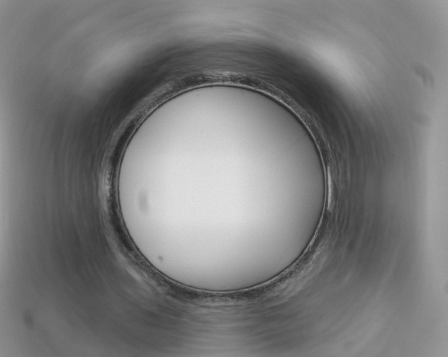 X0000114240435200910091352