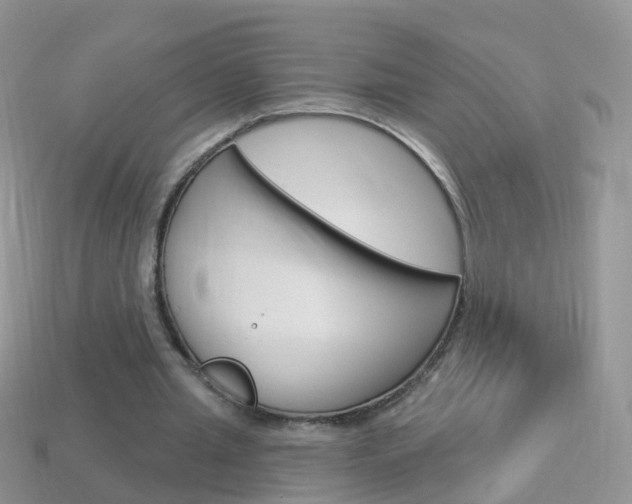 X0000114240437200910091352