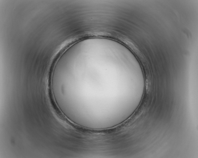 X0000114240438200910091352