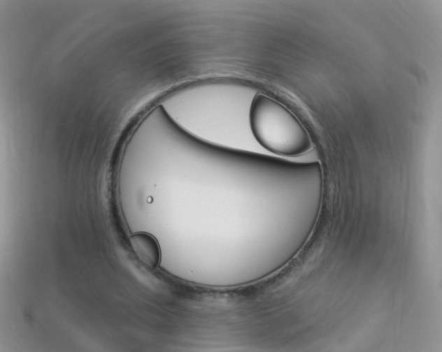 X0000114240439200910091352