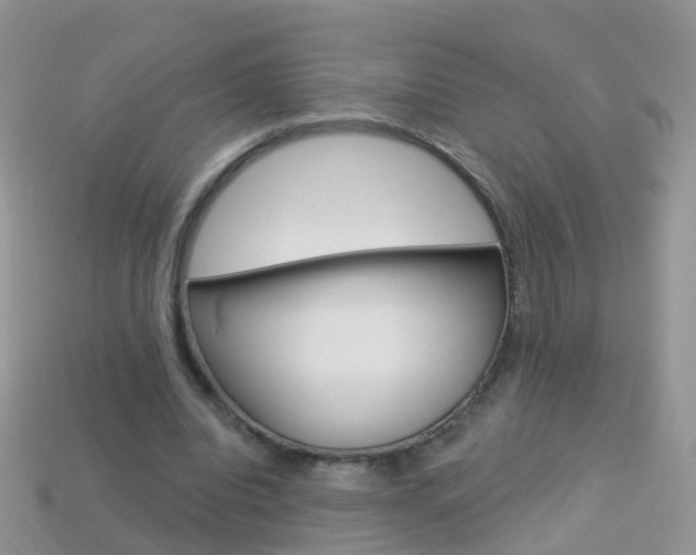 X0000114240440200910091352