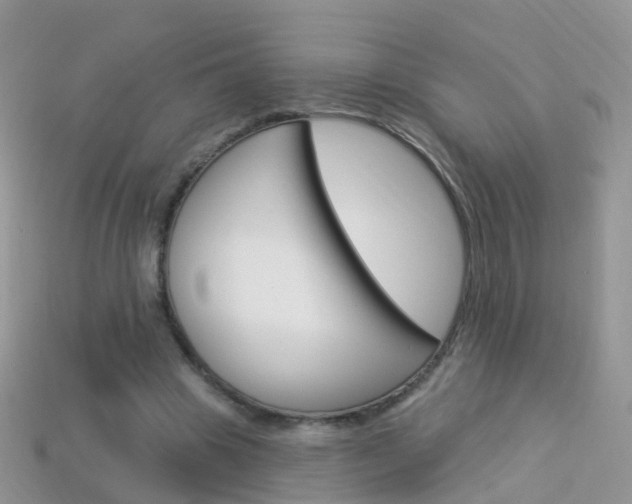 X0000114240441200910091352