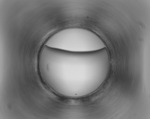 X0000114240442200910091352