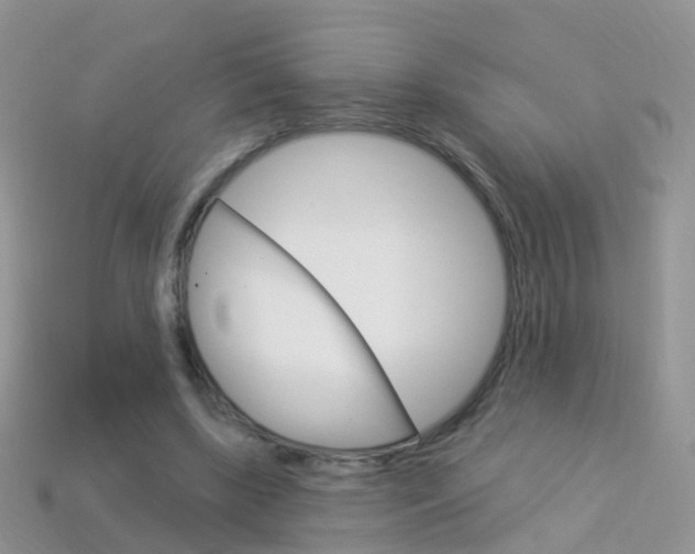 X0000114240443200910091352